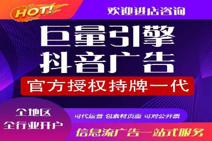 SEM运营公司经典案例点评
